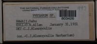 Image Associated With the Occurence